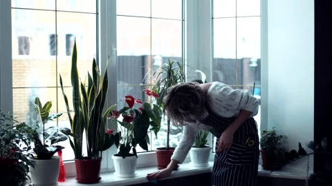 Stock Video A Tired Woman Cleaning The Home Live Wallpaper For PC - Free Live Wallpaper
