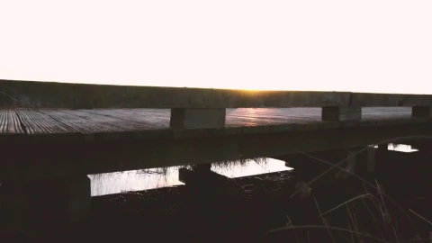 Stock Video A Small Pedestrian Bridge In A Forest Live Wallpaper For PC - Free Live Wallpaper