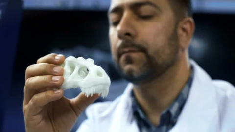 Stock Video A Scientist Studying A Dinosaurs Skull Live Wallpaper For PC - Free Live Wallpaper