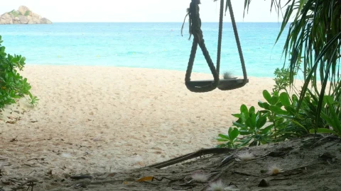 Stock Video A Rope Swings On A Tropical Beach Live Wallpaper For PC - Free Live Wallpaper