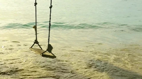 Stock Video A Rope Swing At The Beach Live Wallpaper For PC - Free Live Wallpaper