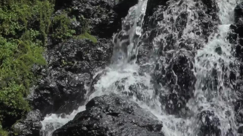 Stock Video A Rocky Waterfall In The Forest Live Wallpaper For PC - Free Live Wallpaper