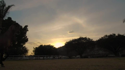 Stock Video A Rancher Riding A Horse At Sunset Live Wallpaper For PC - Free Live Wallpaper