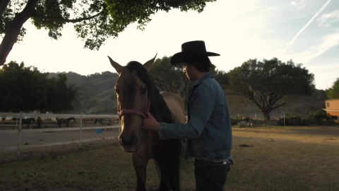 Stock Video A Rancher Brushing Horses Hair Live Wallpaper For PC - Free Live Wallpaper