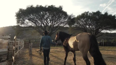 Stock Video A Rancher And Horse At A Ranch Live Wallpaper For PC - Free Live Wallpaper