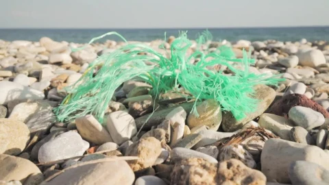 Stock Video A Polluted Beach Live Wallpaper For PC - Free Live Wallpaper