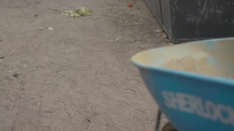 Stock Video A Person Pushes A Wheelbarrow Live Wallpaper For PC - Free Live Wallpaper