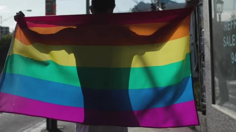Stock Video A Man With A Rainbow Flag Live Wallpaper For PC - Free Live Wallpaper