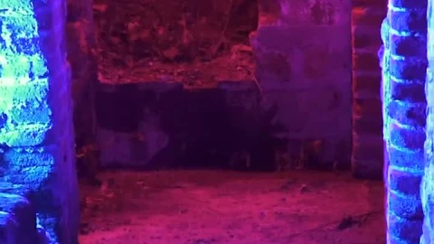 Stock Video A Man Wearing A Mask At Abandoned Property Live Wallpaper For PC - Free Live Wallpaper