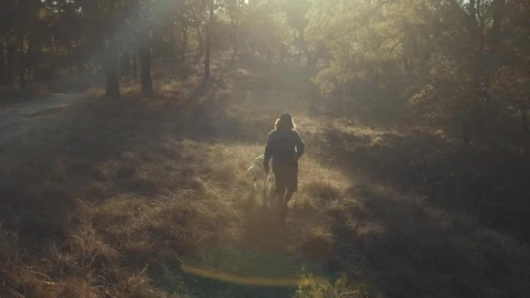 Stock Video A Man Walking His Dog In The Morning Live Wallpaper For PC - Free Live Wallpaper