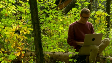 Stock Video A Man Sitting On A Log In The Forest Reading Live Wallpaper For PC - Free Live Wallpaper