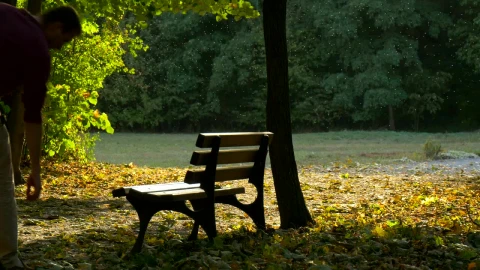 Stock Video A Man Sitting In A Park Bench Live Wallpaper For PC - Free Live Wallpaper