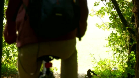 Stock Video A Man Riding His Bicycle Out Of The Woods Live Wallpaper For PC - Free Live Wallpaper