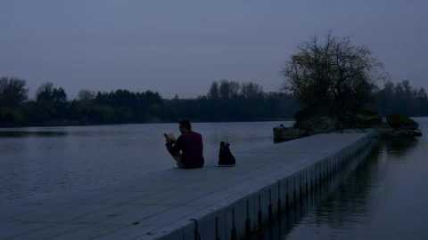 Stock Video A Man Reading A Book On A Concrete Pier Live Wallpaper For PC - Free Live Wallpaper