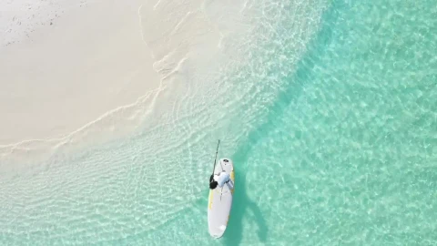Stock Video A Man Paddling On A Board Near The Seashore Live Wallpaper For PC - Free Live Wallpaper