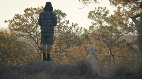 Stock Video A Man Feeding And Peting His Dog At A Forest Live Wallpaper For PC - Free Live Wallpaper