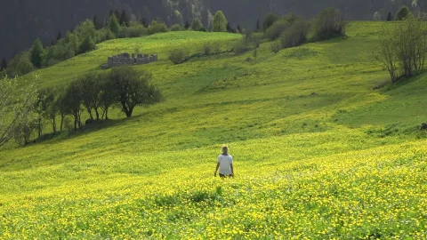 Stock Video A Lonely Woman Walk In A Green Valley Live Wallpaper For PC - Free Live Wallpaper