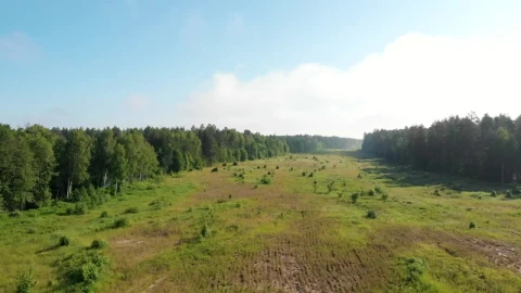 Stock Video A Large Valley Surrounded By Forest Live Wallpaper For PC - Free Live Wallpaper