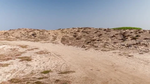Stock Video A Hill By The Sea Live Wallpaper For PC - Free Live Wallpaper