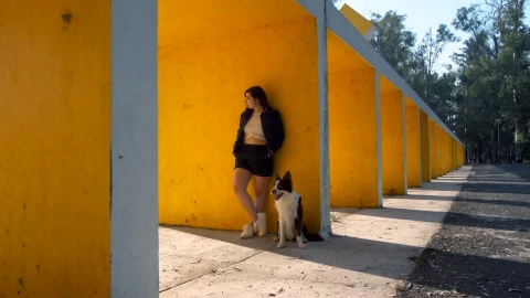 Stock Video A Girl And A Dog Standing In Front Of A Live Wallpaper For PC - Free Live Wallpaper