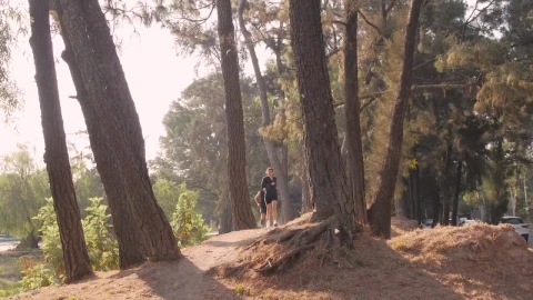 Stock Video A Girl And A Boy Jogging Through A Forest Live Wallpaper For PC - Free Live Wallpaper