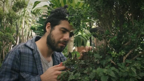 Stock Video A Gardener Cutting Leaves Live Wallpaper For PC - Free Live Wallpaper