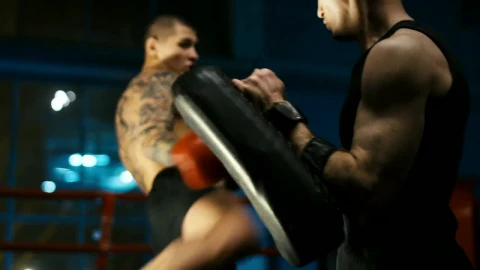 Stock Video A Fighter Training The Kicks On The Ring Live Wallpaper For PC - Free Live Wallpaper