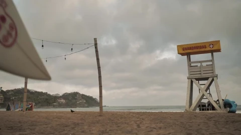 Stock Video A Female Surfer At The Beach Live Wallpaper For PC - Free Live Wallpaper