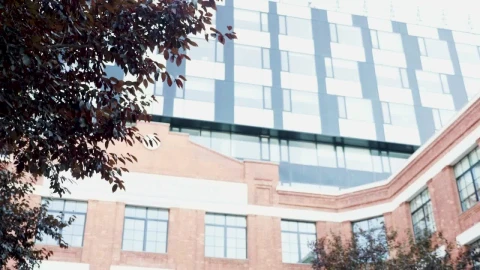 Stock Video Business Leader Sits Outside City Office On Mobile Live Wallpaper For PC - Free Live Wallpaper
