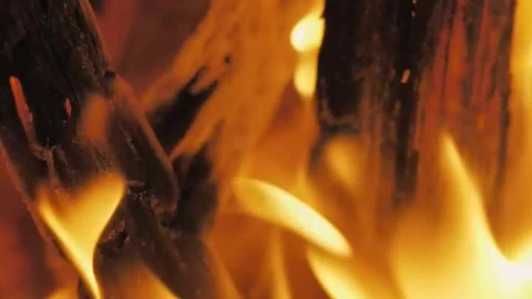 Stock Video Burning Wood Live Wallpaper For PC - Free Live Wallpaper