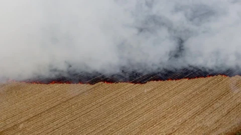 Stock Video Burning Of Agricultural Fields Live Wallpaper For PC - Free Live Wallpaper