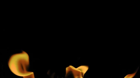 Stock Video Burning Flames On A Black Background Live Wallpaper For PC - Free Live Wallpaper