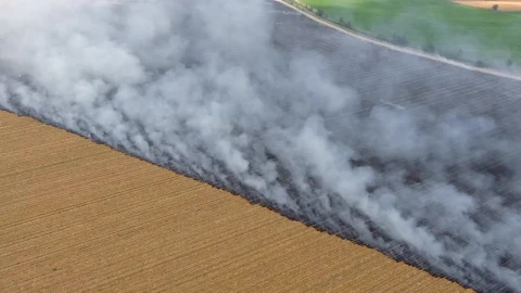 Stock Video Burning Agricultural Fields And Smoke Live Wallpaper For PC - Free Live Wallpaper