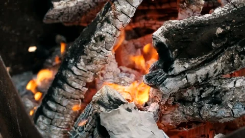Stock Video Burning A Letter On A Campfire Live Wallpaper For PC - Free Live Wallpaper