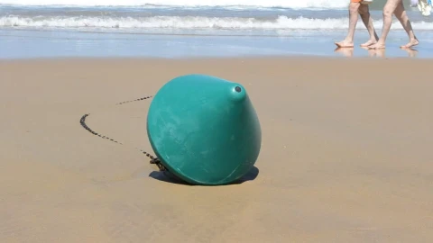 Stock Video Buoy Washed Up On The Beach Live Wallpaper For PC - Free Live Wallpaper