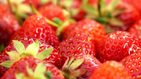 Stock Video Bunch Of Strawberries Rotating Live Wallpaper For PC - Free Live Wallpaper