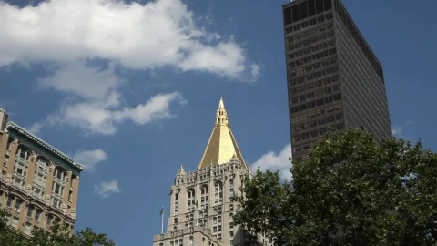Stock Video Buildings Around Madison Square Park Live Wallpaper For PC - Free Live Wallpaper