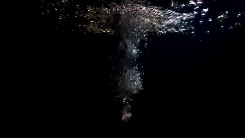 Stock Video Bubbles Underwater In A Black Tank Live Wallpaper For PC - Free Live Wallpaper