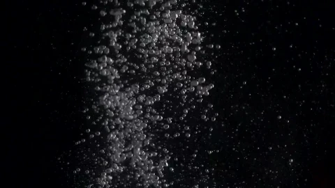 Stock Video Bubbles Rising In Water Live Wallpaper For PC - Free Live Wallpaper