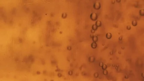 Stock Video Bubbles Moving Slowly In A Yellow Liquid Live Wallpaper For PC - Free Live Wallpaper