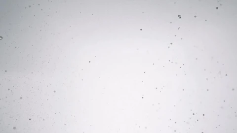 Stock Video Bubbles Of Water Rising To The Surface Live Wallpaper For PC - Free Live Wallpaper