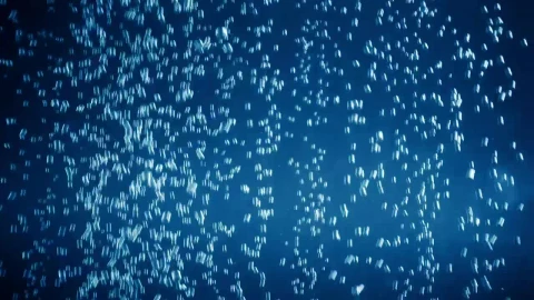 Stock Video Bubbles In A Blue Tank Live Wallpaper For PC - Free Live Wallpaper