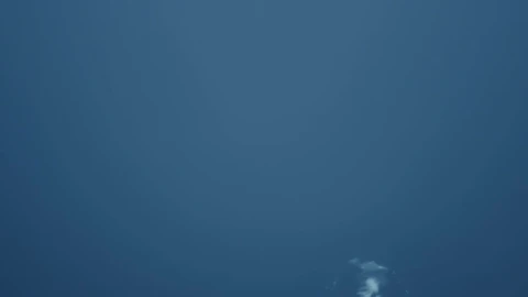 Stock Video Bubbles Breaking The Surface Live Wallpaper For PC - Free Live Wallpaper
