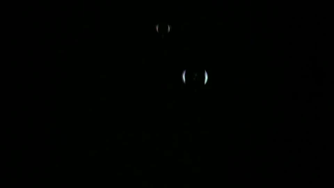 Stock Video Bubbles Falling On A Black Background Live Wallpaper For PC - Free Live Wallpaper