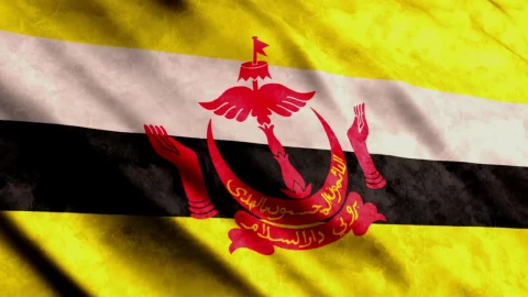Stock Video Brunei Flag Full Screen Live Wallpaper For PC - Free Live Wallpaper