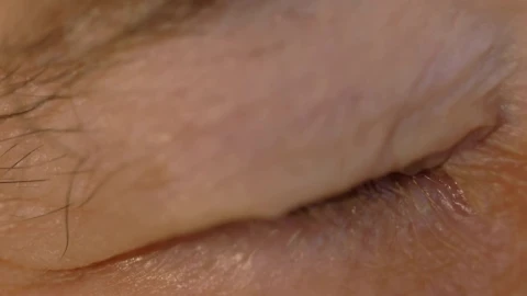 Stock Video Brown Eyes Opening Live Wallpaper For PC - Free Live Wallpaper