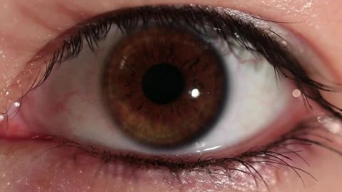 Stock Video Brown Eye Closeup Live Wallpaper For PC - Free Live Wallpaper