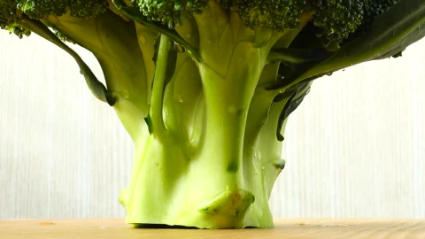 Stock Video Broccoli Circling In Detail Live Wallpaper For PC - Free Live Wallpaper