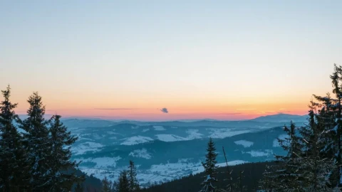 Stock Video Bright Sun Rising Over The Skyline In The Forest Live Wallpaper For PC - Free Live Wallpaper