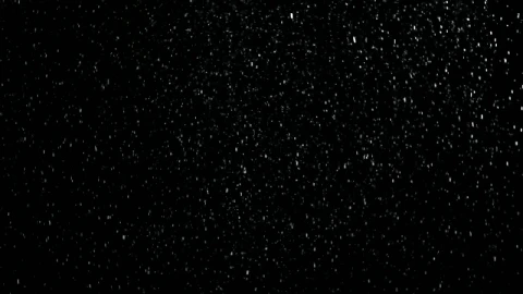 Stock Video Bright Snow Falling Live Wallpaper For PC - Free Live Wallpaper